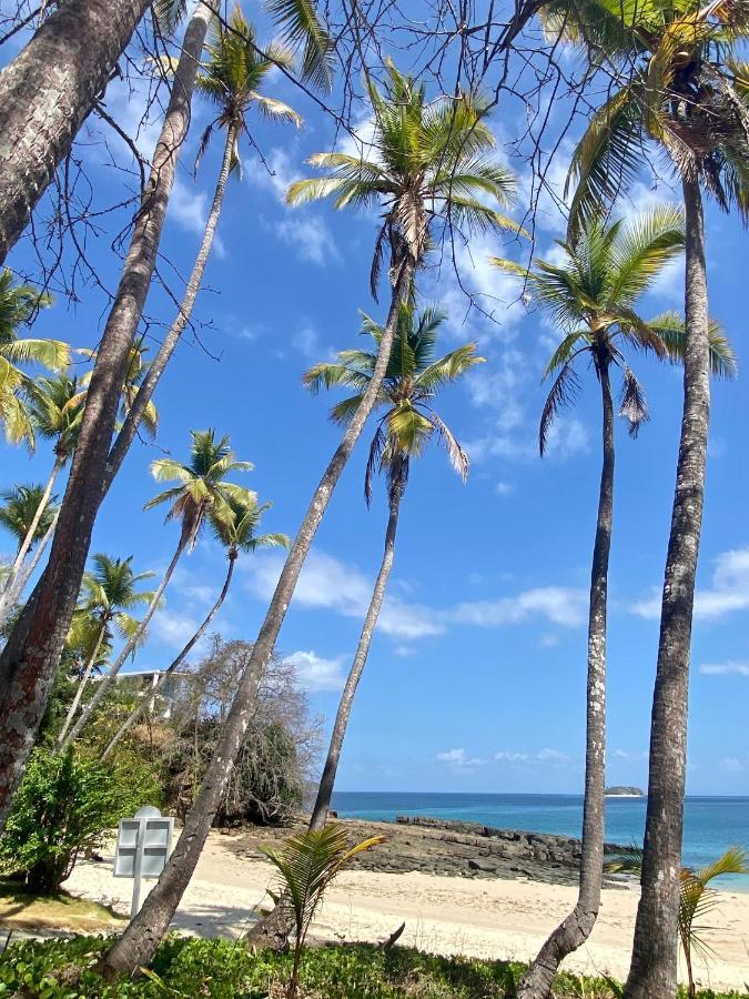 Casa Del Sol Bed And Breakfast Contadora Island Ngoại thất bức ảnh
