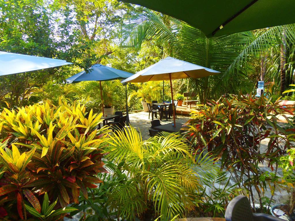 Casa Del Sol Bed And Breakfast Contadora Island Ngoại thất bức ảnh
